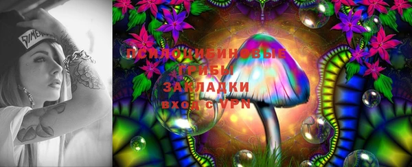 дмт Кинешма