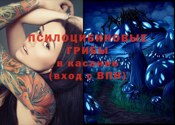 стафф Киренск