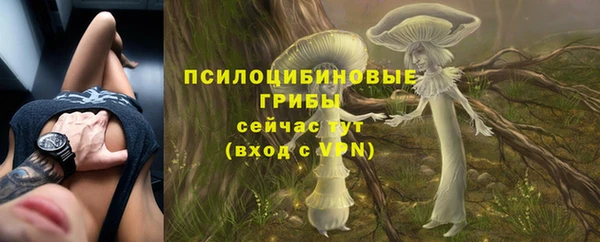 ALPHA-PVP Киреевск