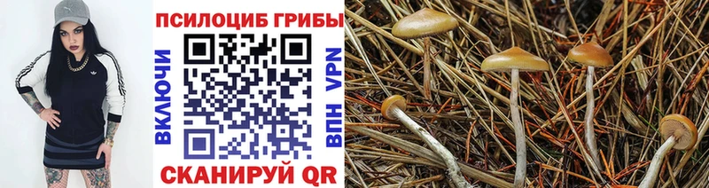 Галлюциногенные грибы Cubensis  Купить где  Дегтярск 